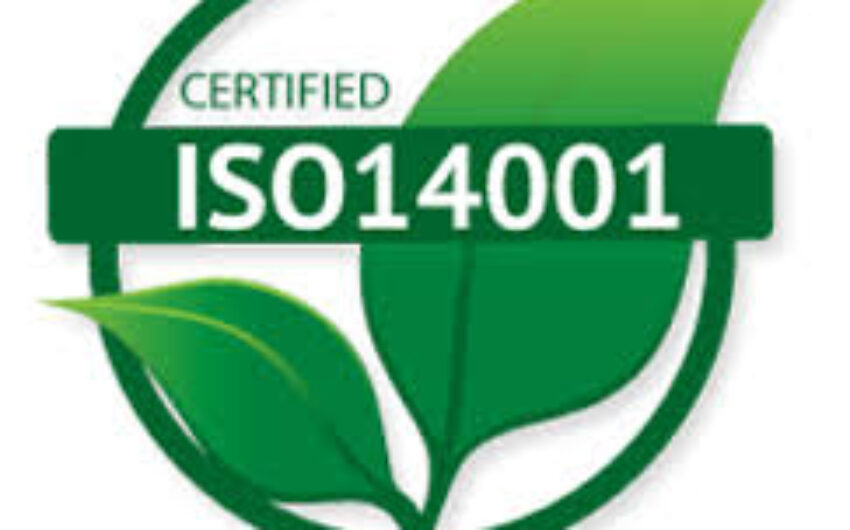 ISO 14001: la gestione ambientale