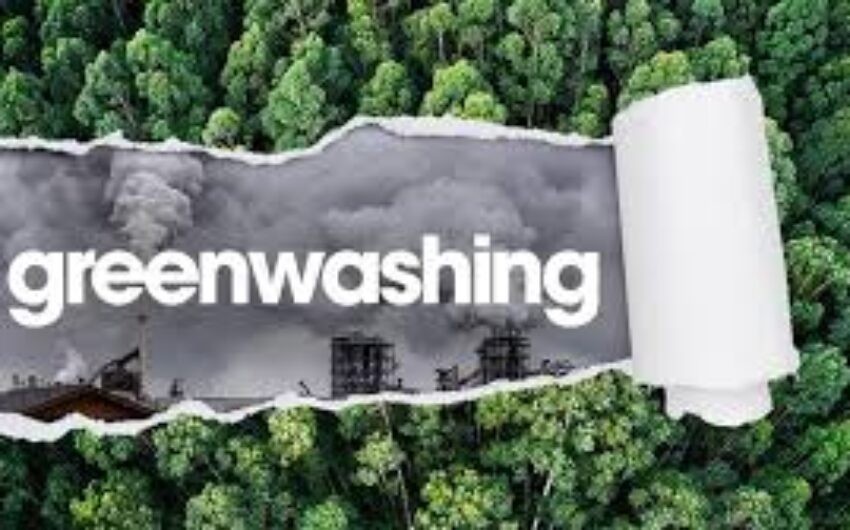Certificazione e sostenibilità: errori e greenwashing